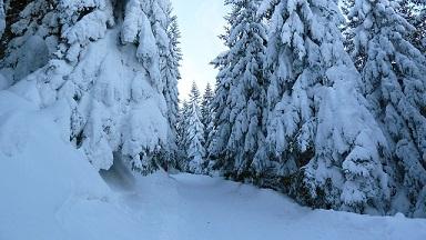 Garmisch Classic